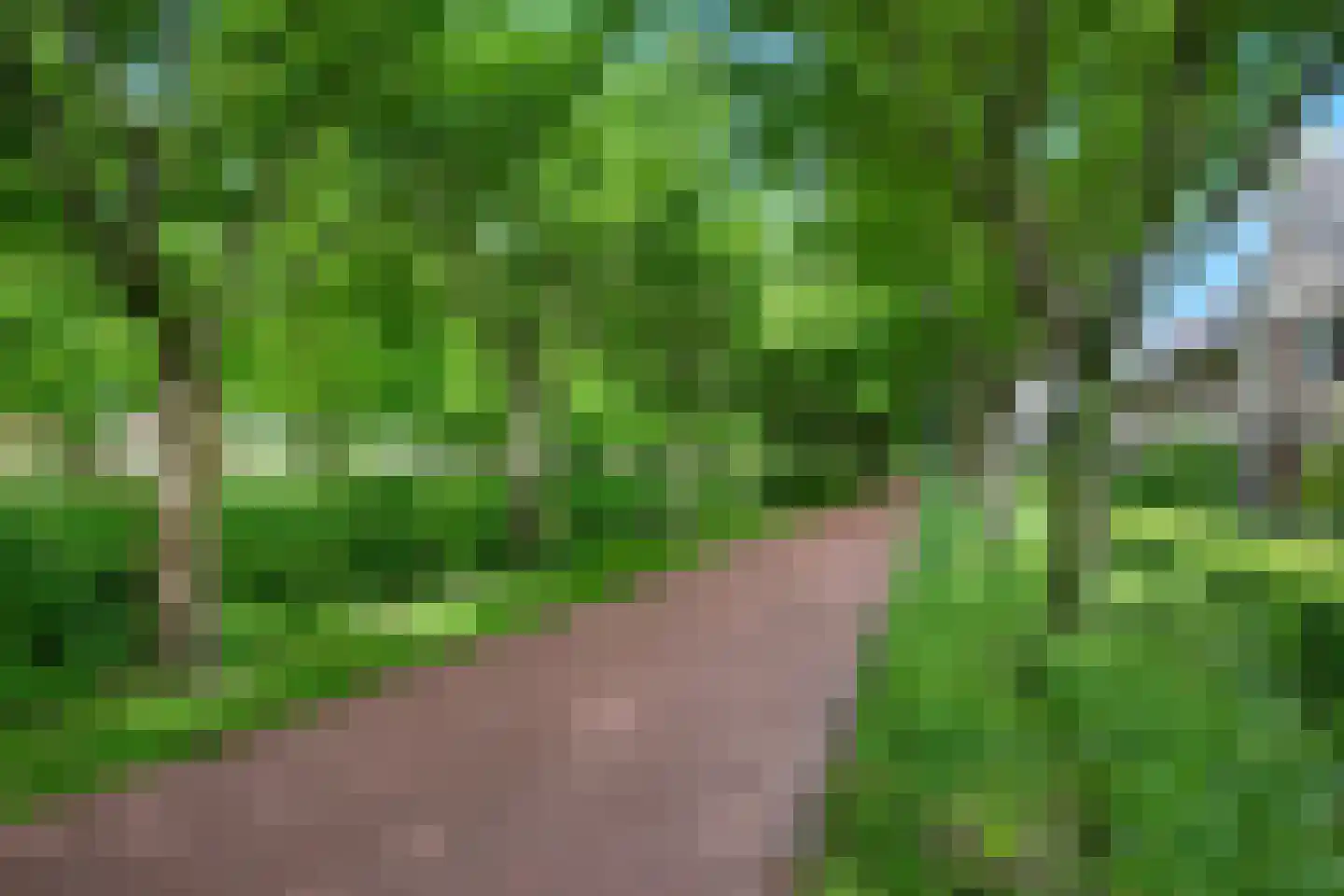 Fluweelmos 64 Houten thumbnail 29