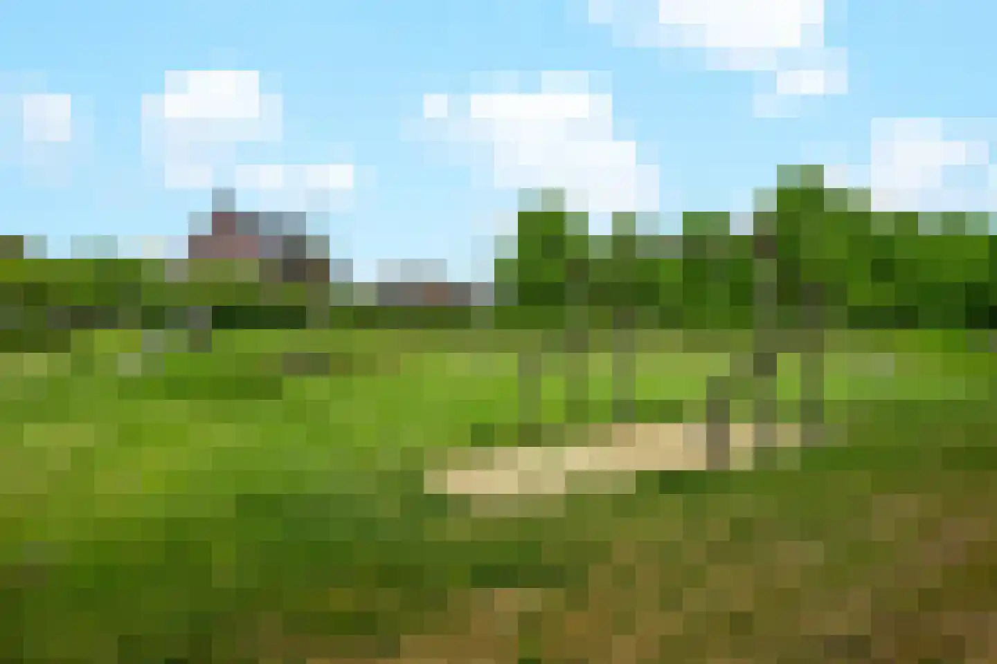 Fluweelmos 64 Houten thumbnail 30
