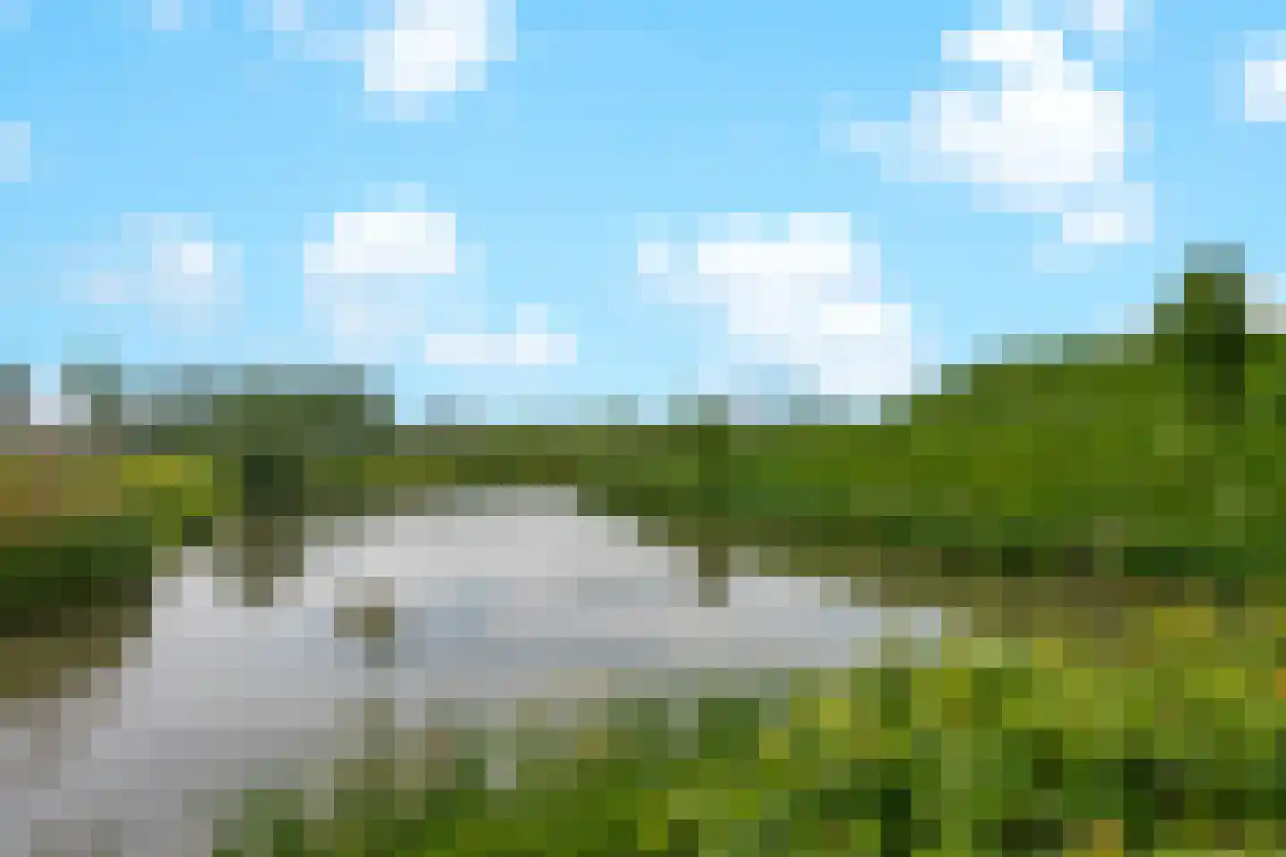 Fluweelmos 64 Houten thumbnail 31
