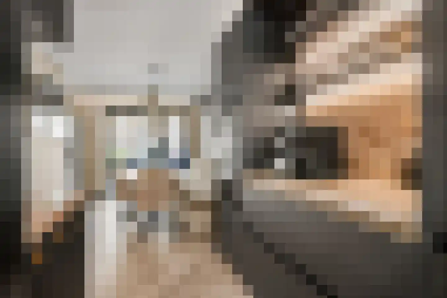 Fluweelmos 64 Houten thumbnail 8