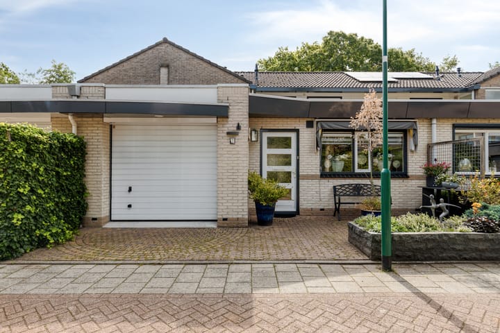 Fluweelmos 7 en Veenendaal foto