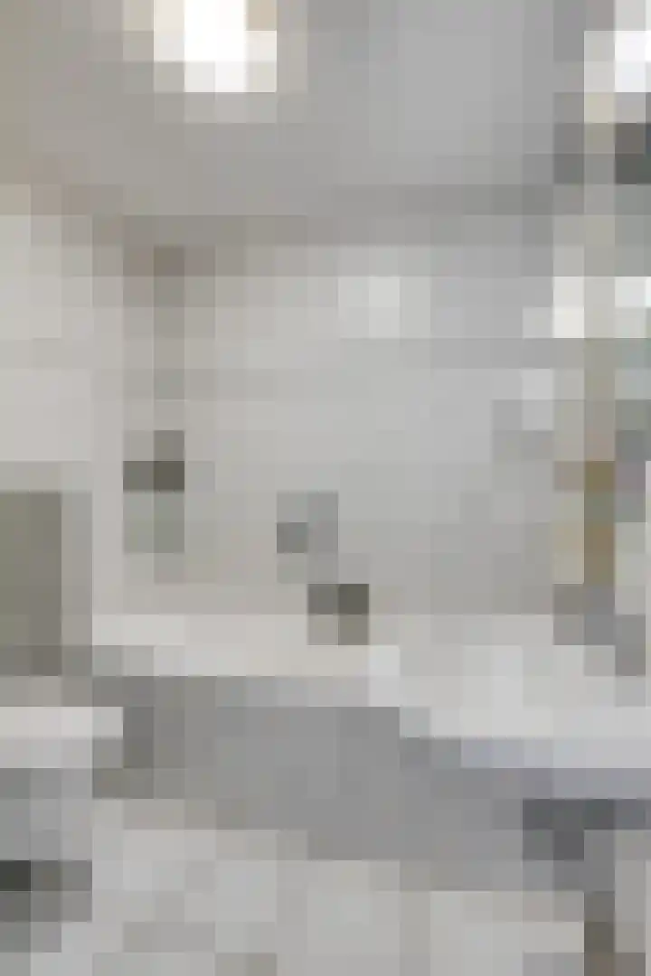 Fluweelmos 7 Veenendaal thumbnail 17