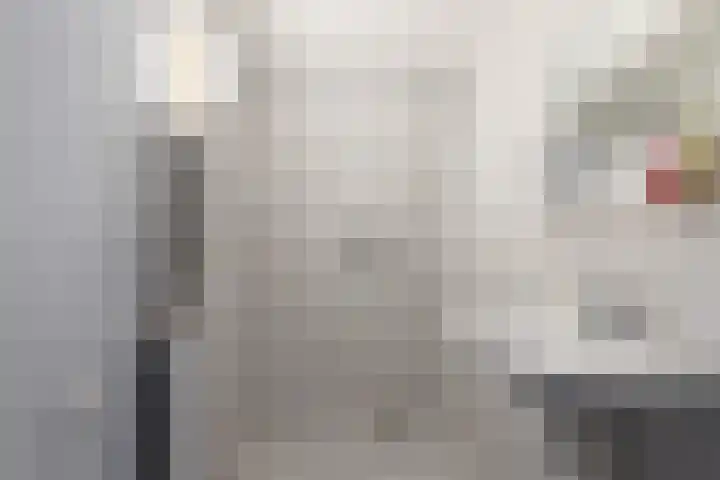 Fluweelmos 7 Veenendaal thumbnail 23