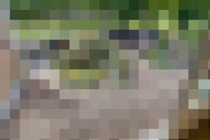 Fluweelmos 7 Veenendaal thumbnail 30