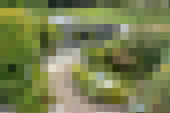 Fluweelmos 7 Veenendaal thumbnail 31