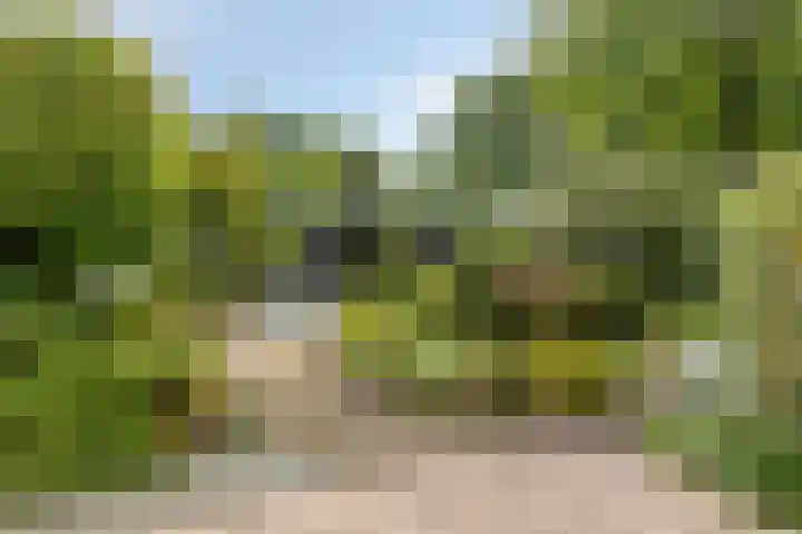 Fluweelmos 7 Veenendaal thumbnail 32