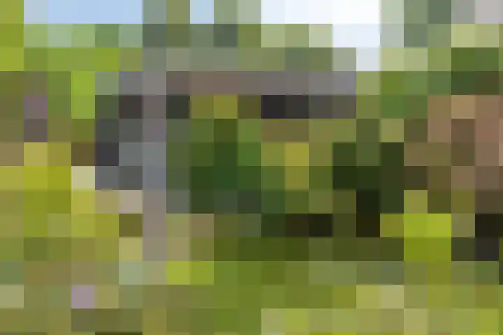 Fluweelmos 7 Veenendaal thumbnail 33