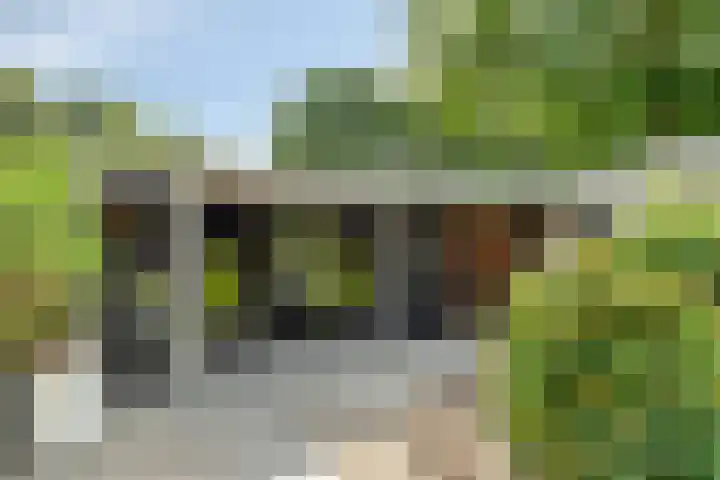 Fluweelmos 7 Veenendaal thumbnail 34