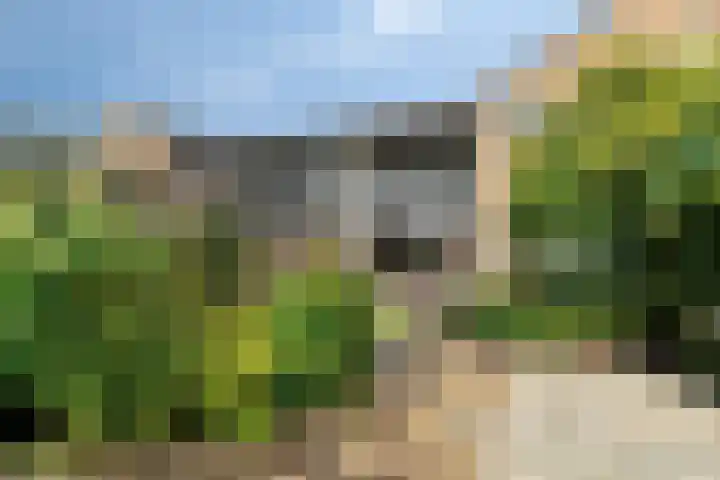 Fluweelmos 7 Veenendaal thumbnail 35