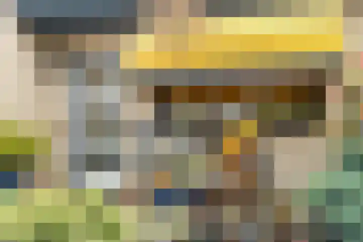 Fluweelmos 7 Veenendaal thumbnail 38