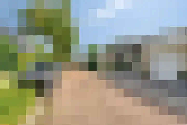 Fluweelmos 7 Veenendaal thumbnail 39