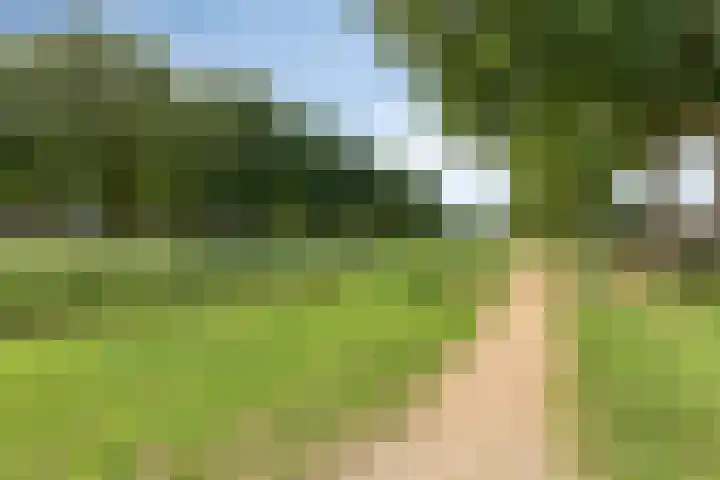 Fluweelmos 7 Veenendaal thumbnail 41