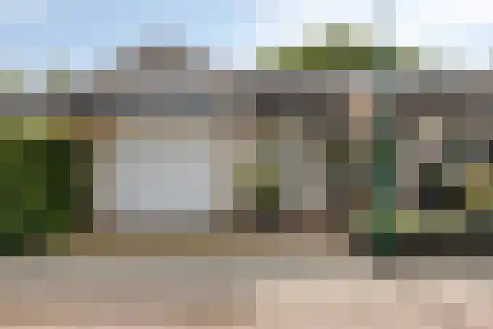 Fluweelmos 7 Veenendaal thumbnail 47