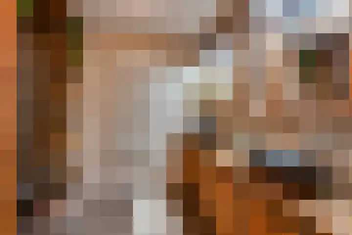 Fluweelmos 8 Houten thumbnail 17