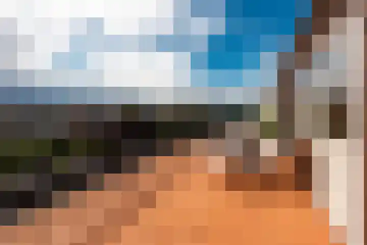 Fluweelmos 8 Houten thumbnail 26