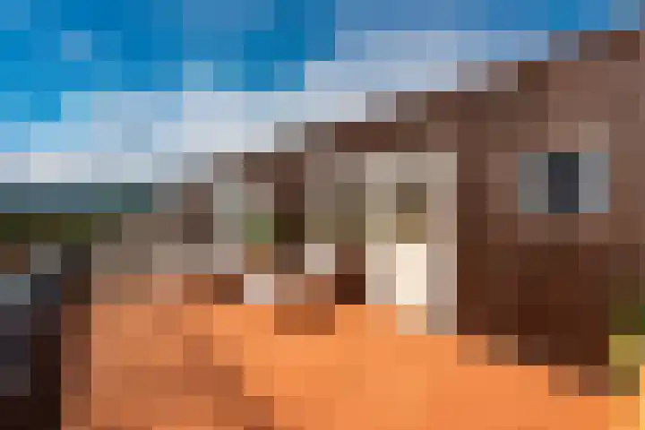 Fluweelmos 8 Houten thumbnail 27