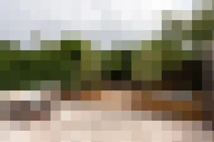 Fluweelmos 8 Houten thumbnail 28
