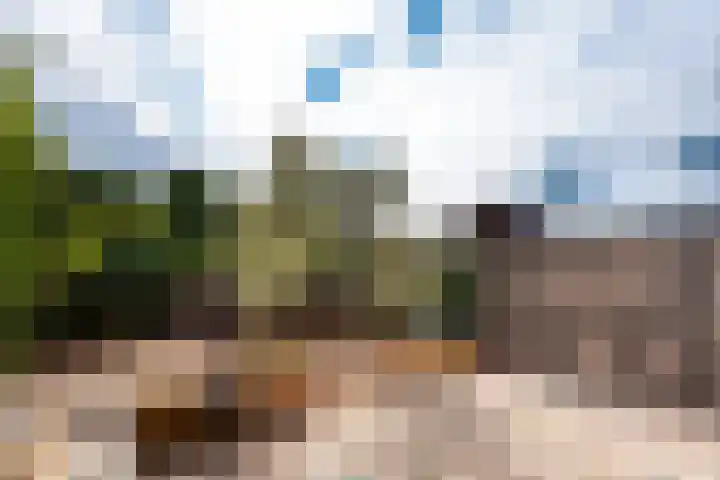 Fluweelmos 8 Houten thumbnail 29