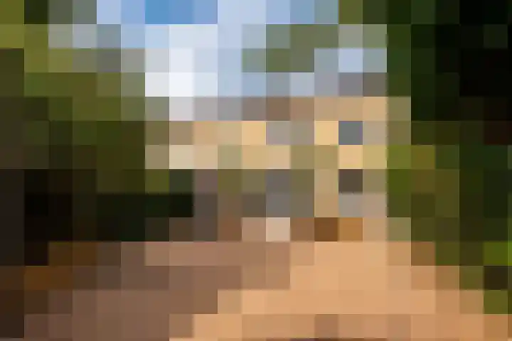 Fluweelmos 8 Houten thumbnail 30