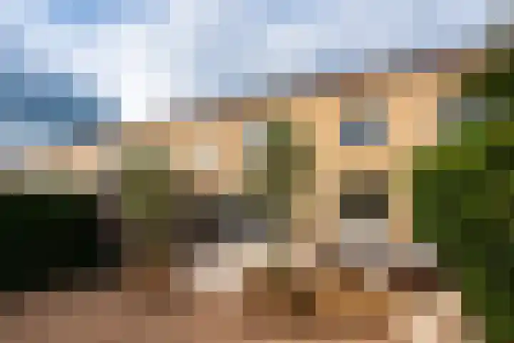 Fluweelmos 8 Houten thumbnail 31