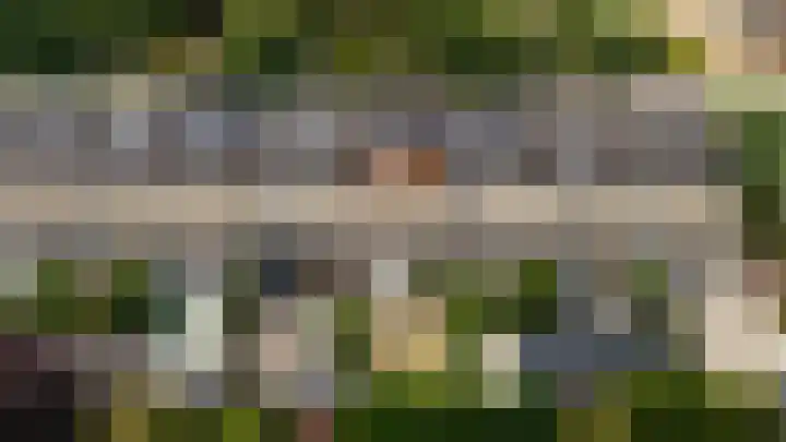 Fluweelmos 8 Houten thumbnail 32