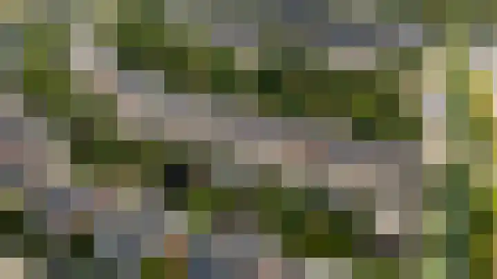 Fluweelmos 8 Houten thumbnail 33