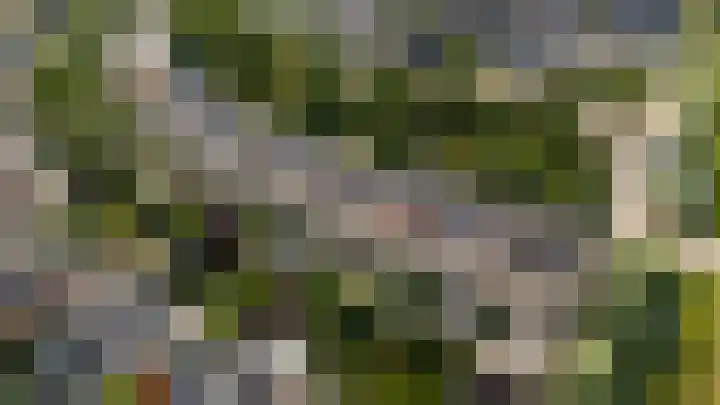 Fluweelmos 8 Houten thumbnail 34