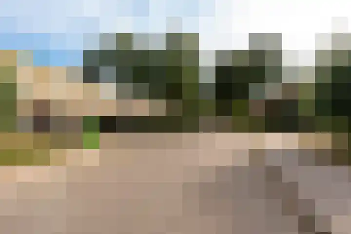 Fluweelmos 8 Houten thumbnail 35