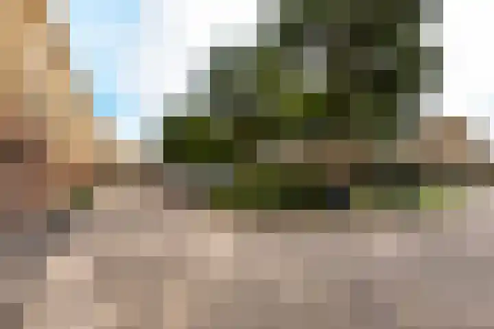 Fluweelmos 8 Houten thumbnail 37