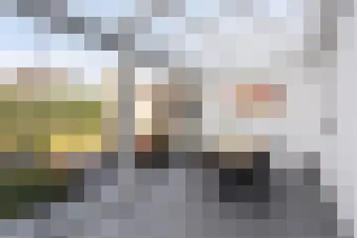 Fluweelstraat 19 Borne thumbnail 14