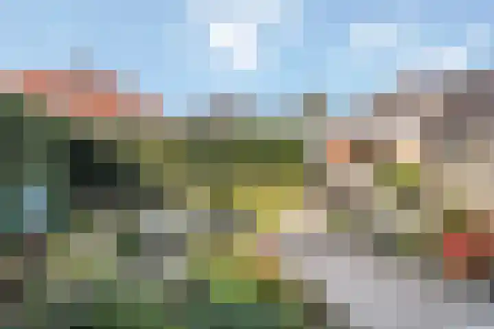 Fluweelstraat 19 Borne thumbnail 15