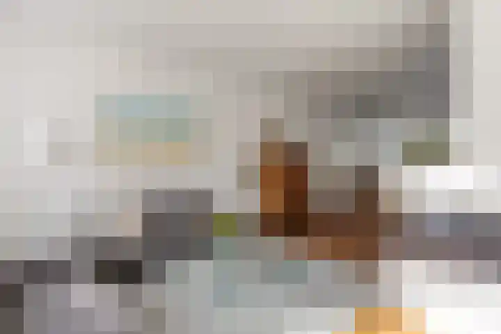 Fluweelstraat 19 Borne thumbnail 4