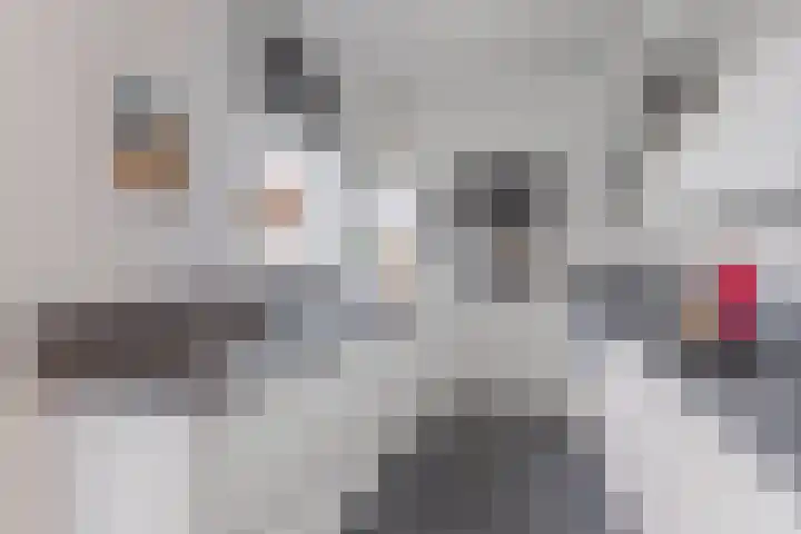 Fluweelstraat 19 Borne thumbnail 6