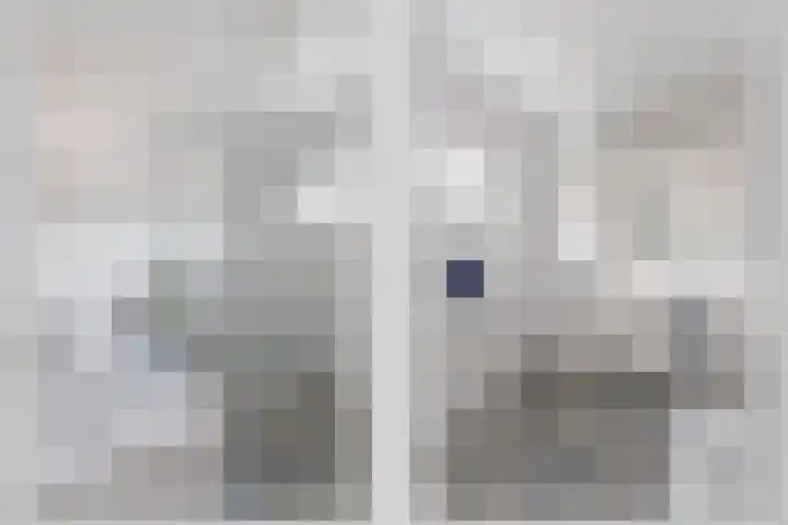 Fluweelstraat 19 Borne thumbnail 8