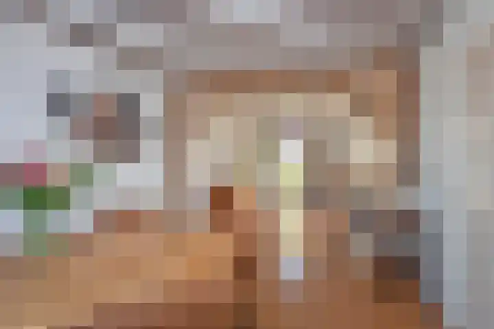 Fluweelstraat 21 Borne thumbnail 10