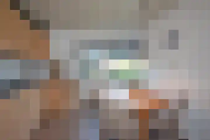 Fluweelstraat 21 Borne thumbnail 12