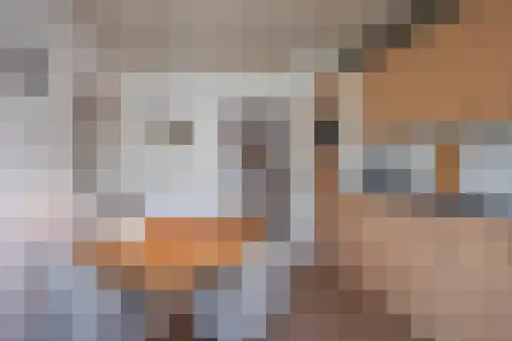 Fluweelstraat 21 Borne thumbnail 13