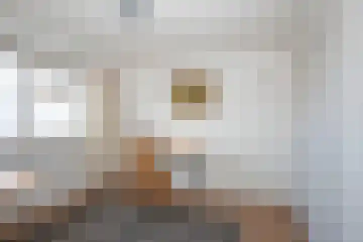 Fluweelstraat 21 Borne thumbnail 22