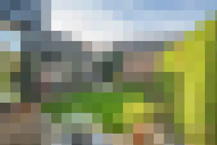 Fluweelstraat 21 Borne thumbnail 27