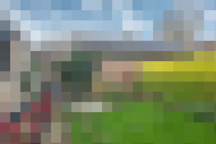 Fluweelstraat 21 Borne thumbnail 28