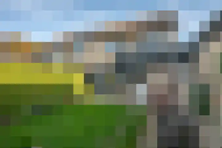 Fluweelstraat 21 Borne thumbnail 29
