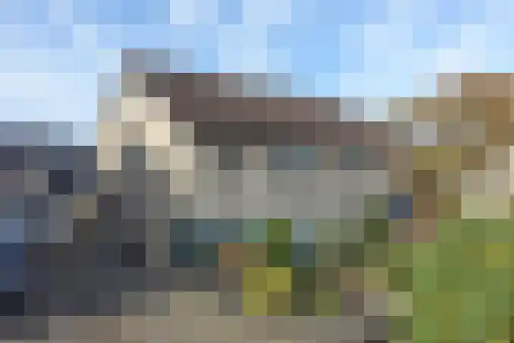 Fluweelstraat 21 Borne thumbnail 30