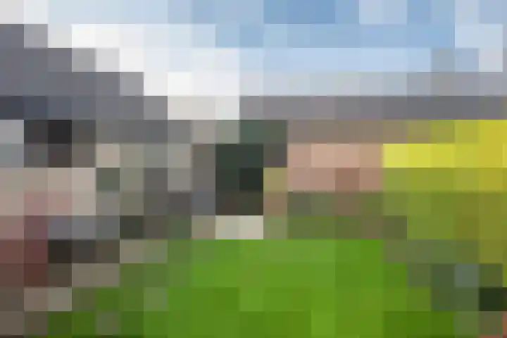 Fluweelstraat 21 Borne thumbnail 4
