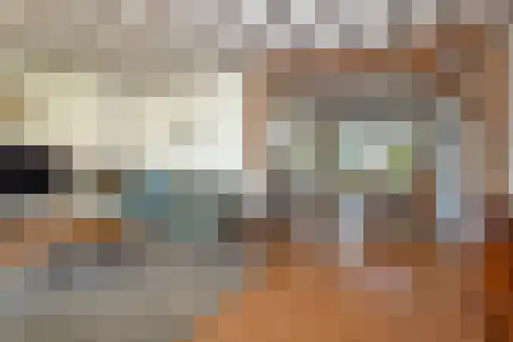 Fluweelstraat 21 Borne thumbnail 8