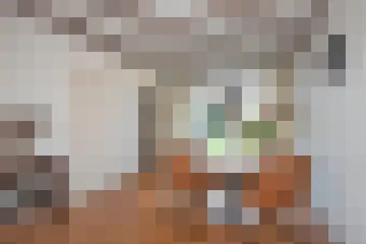 Fluweelstraat 21 Borne thumbnail 9