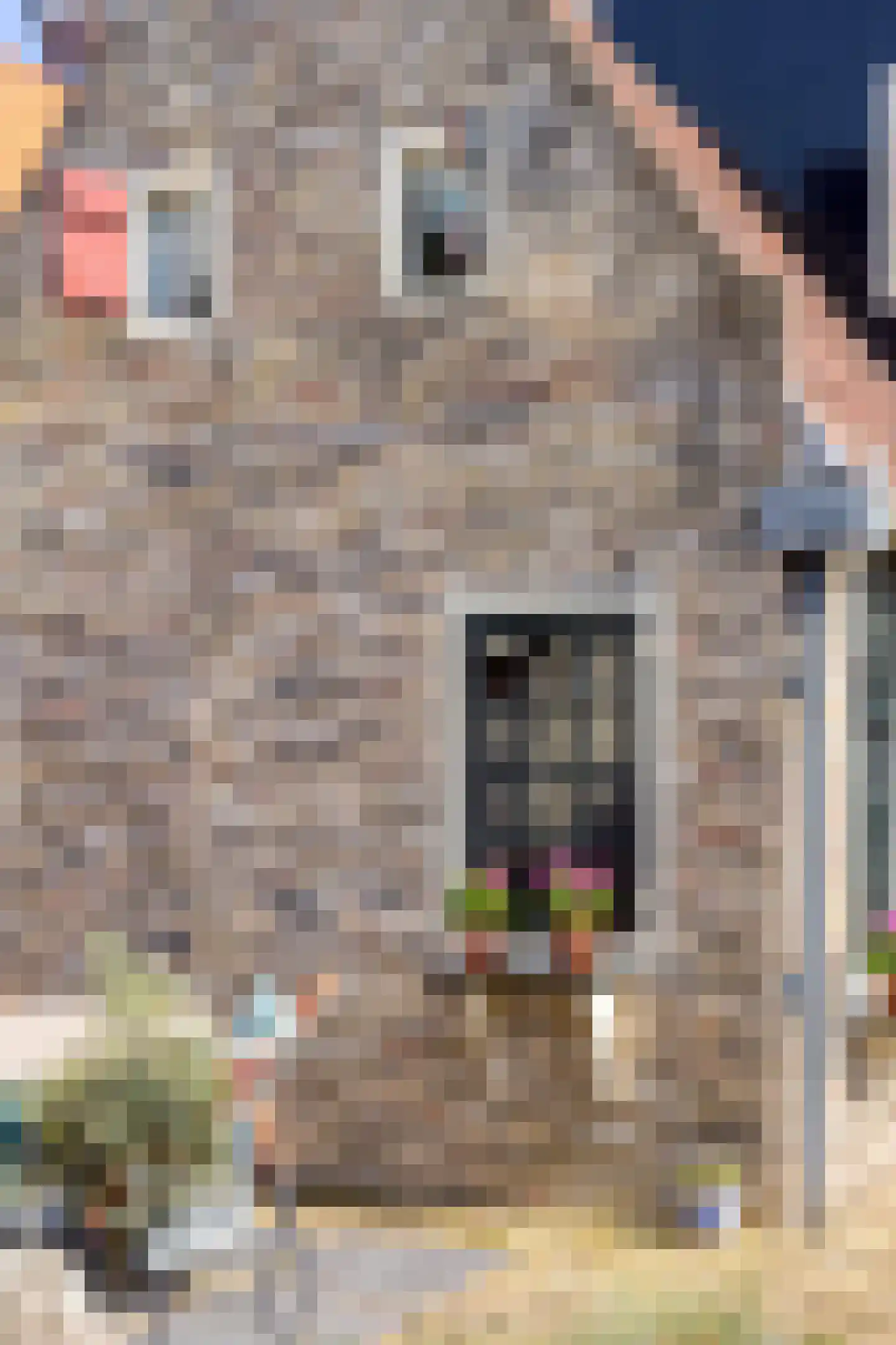 Fluwelen Burgwal 13 Monnickendam thumbnail 45