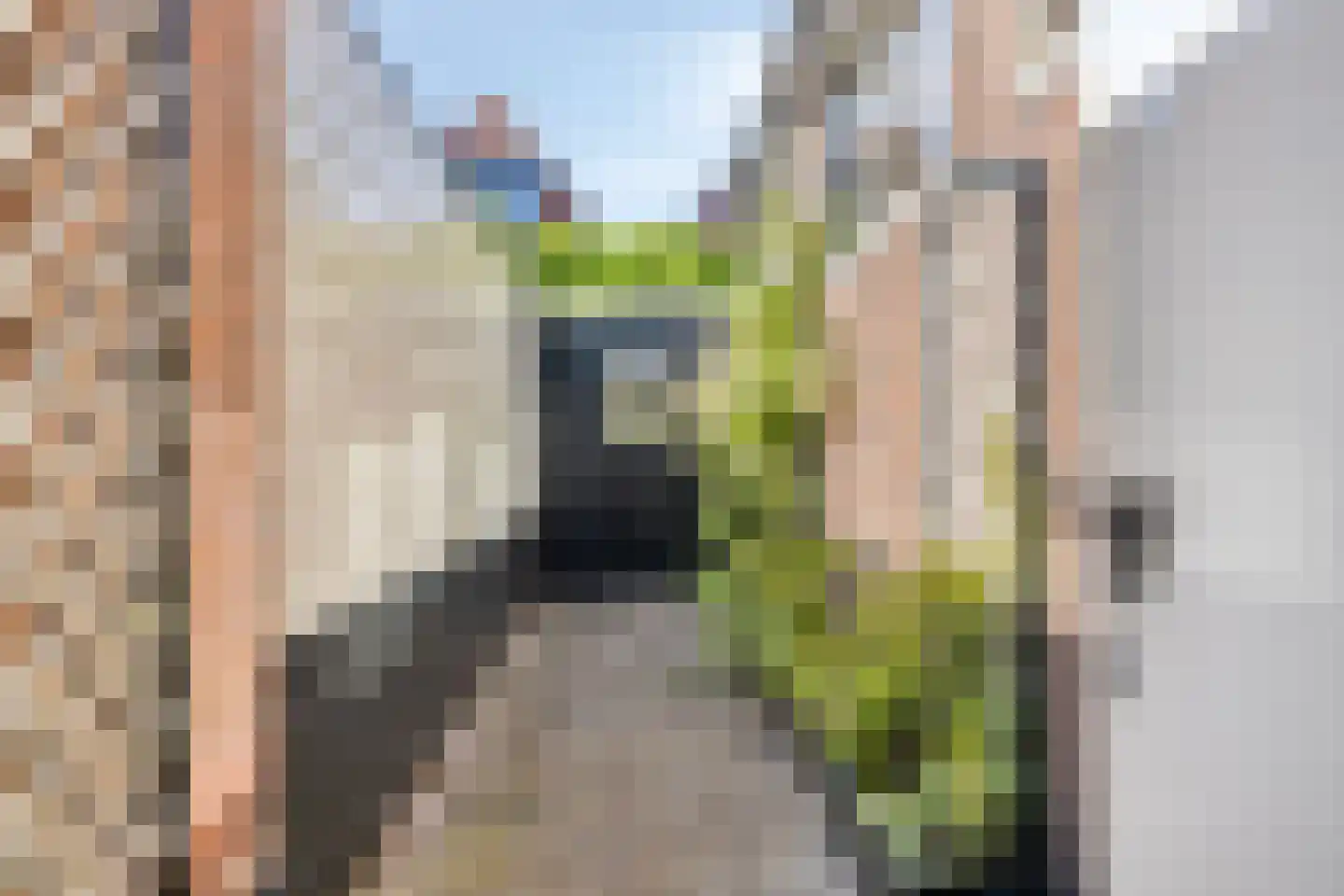 Fluwelen Burgwal 13 Monnickendam thumbnail 76