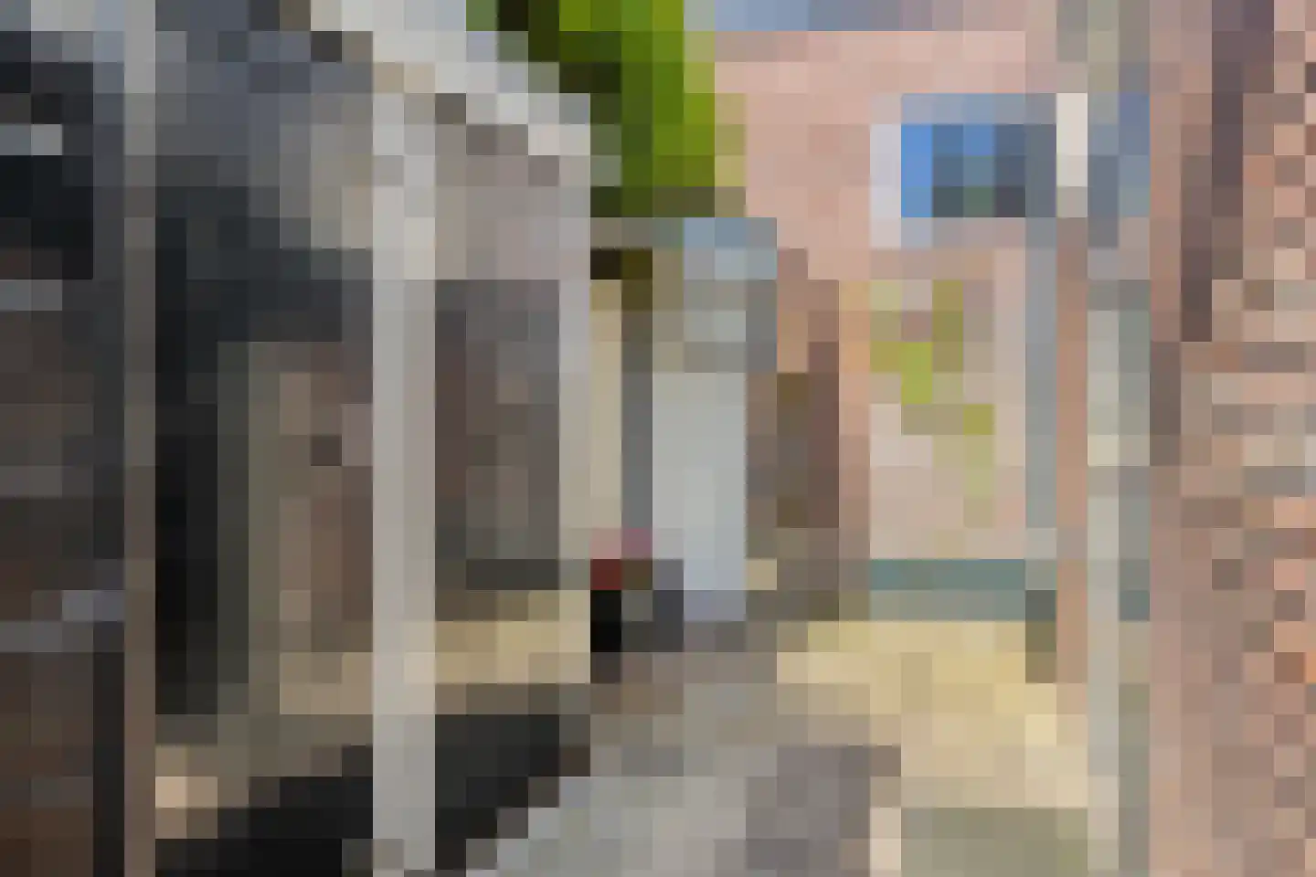 Fluwelen Burgwal 13 Monnickendam thumbnail 77
