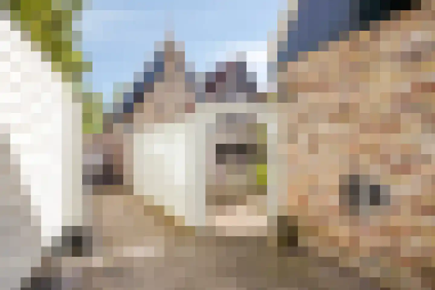 Fluwelen Burgwal 13 Monnickendam thumbnail 78