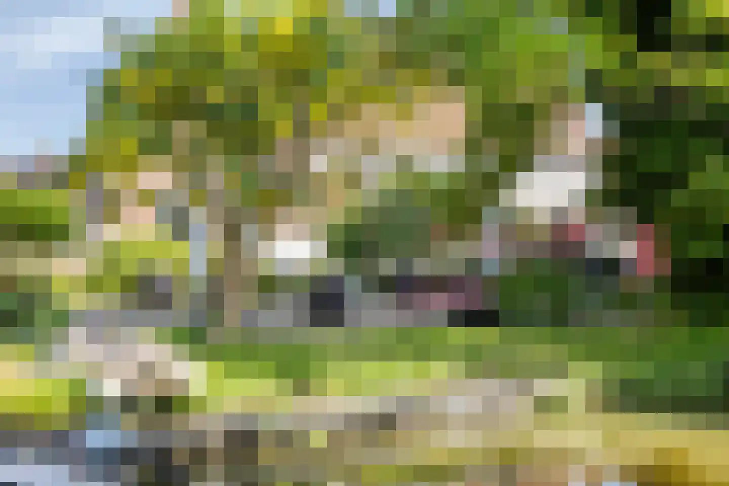 Fluwelen Burgwal 13 Monnickendam thumbnail 88